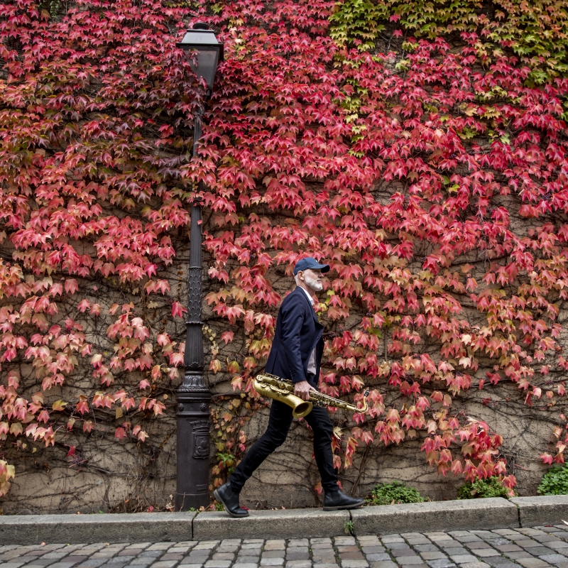 Fokus: Petter Wettre