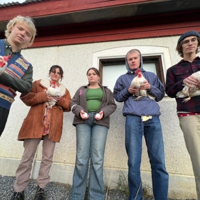 Fågelattack